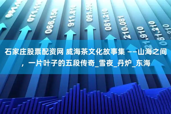 石家庄股票配资网 威海茶文化故事集 ——山海之间，一片叶子的五段传奇_雪夜_丹炉_东海