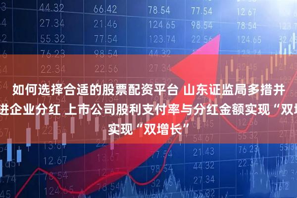 如何选择合适的股票配资平台 山东证监局多措并举推进企业分红 上市公司股利支付率与分红金额实现“双增长”