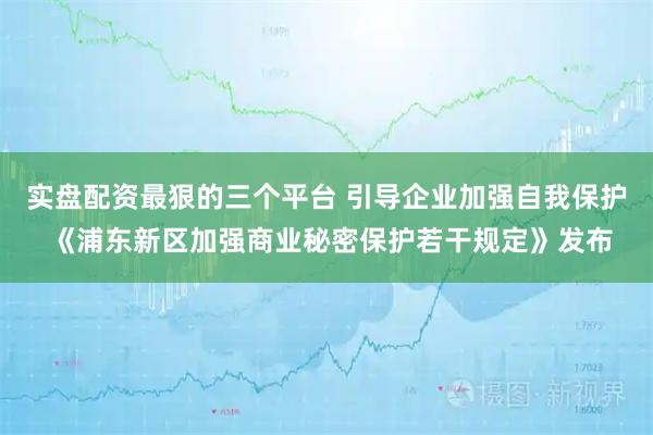 实盘配资最狠的三个平台 引导企业加强自我保护 《浦东新区加强商业秘密保护若干规定》发布