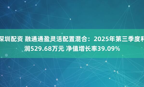 深圳配资 融通通盈灵活配置混合:2025年第三季度利润529.68万元 净值增长率39.09%